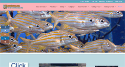 Desktop Screenshot of infobonaire.com