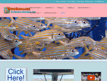 Tablet Screenshot of infobonaire.com